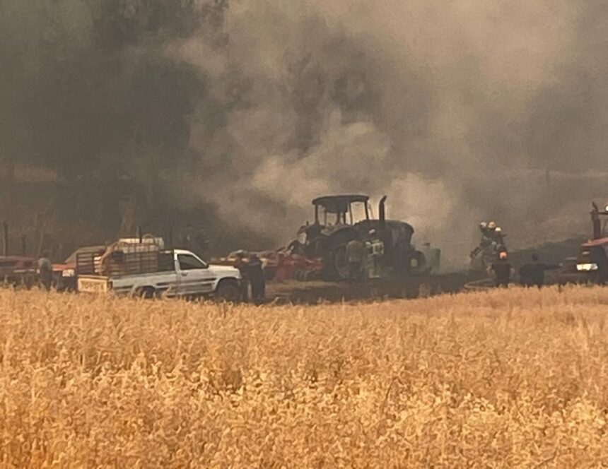 Por catástrofe de incendios: SOFO exige la presencia del Presidente Boric en La Araucanía