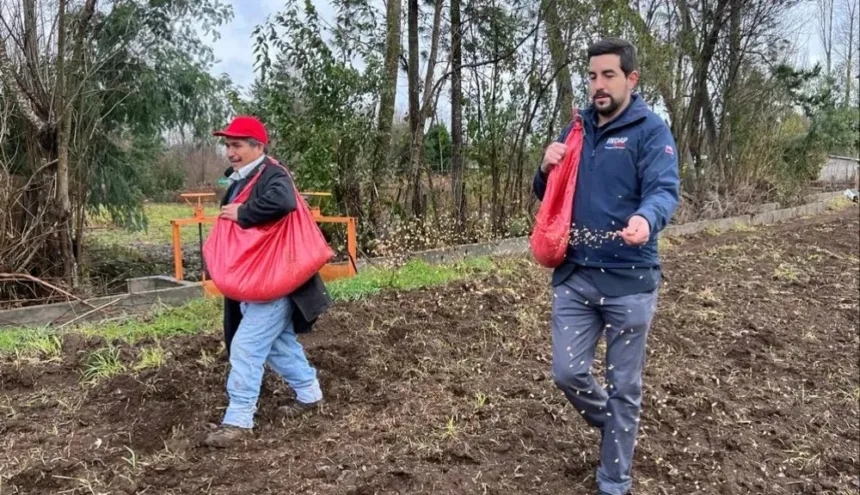 Temuco y Padre Las Casas: agricultores y parceleros acusan que no pueden realizar quemas por PDA