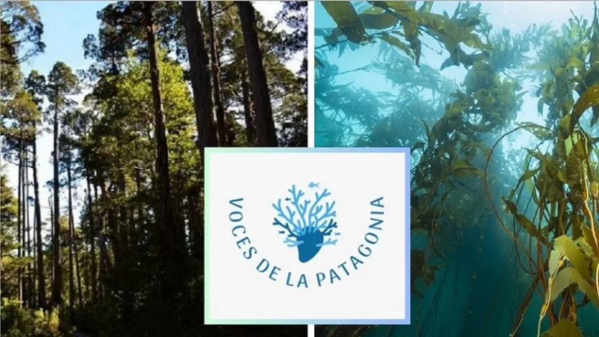 Portada-2-tercer-episodio-Voces-Patagonia Nuevo episodio de Voces de la Patagonia: los pulmones del fin del mundo