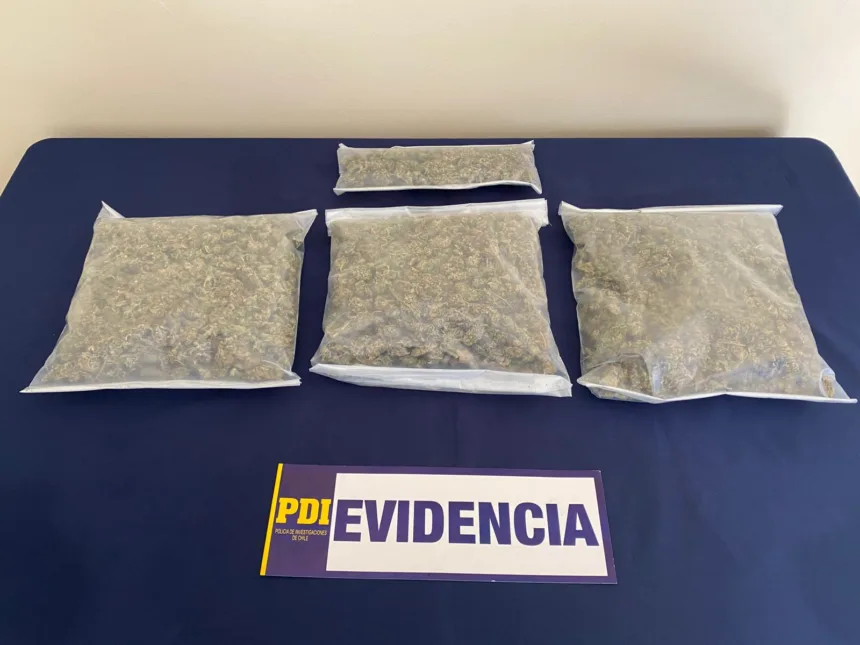 PDI Angol detuvo a mujer por infracción a la ley de drogas