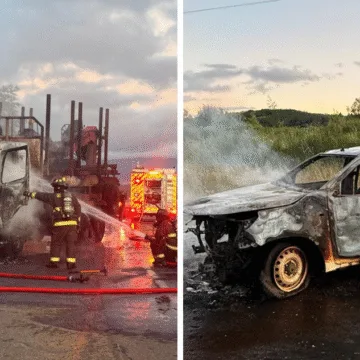 Ataque Incendiario en La Araucanía Deja Camión y Camioneta Destruidos en Ruta 182