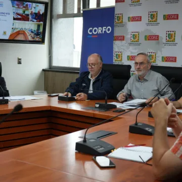Comité de Desarrollo Productivo Regional consolida coordinación interinstitucional y aprueba presupuesto 2026 con foco en Malleco