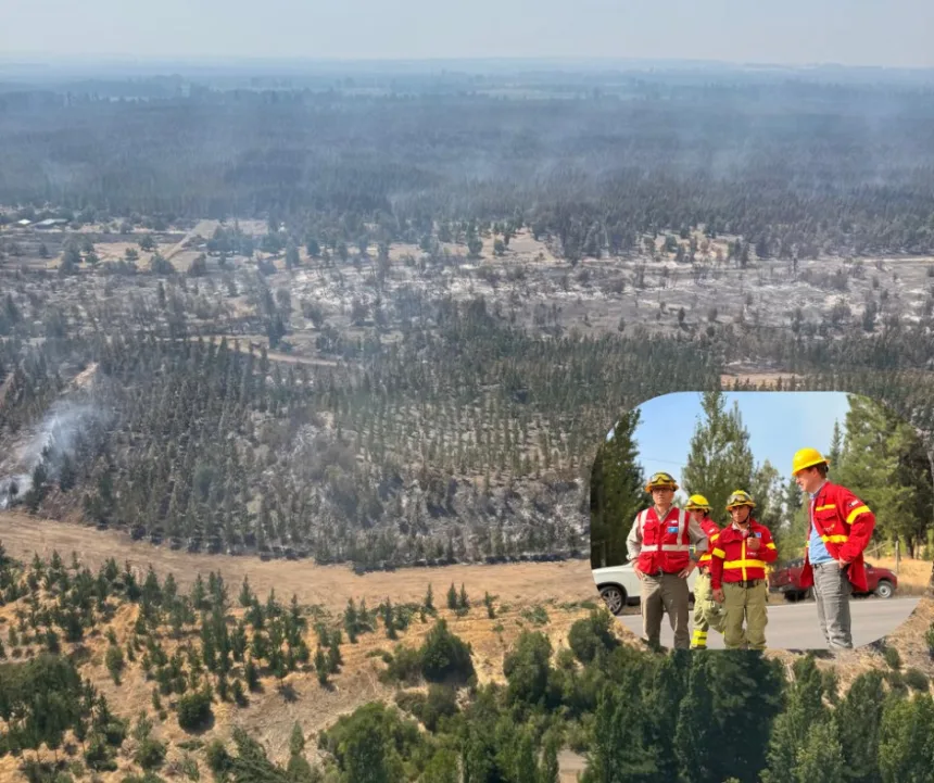CMPC mantiene esfuerzos por contener incendios en Biobío y La Araucanía