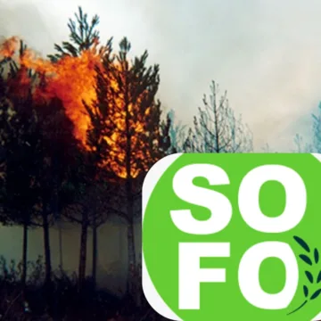 SOFO acusa intencionalidad en incendios de La Araucanía y cuestiona postura de las autoridades
