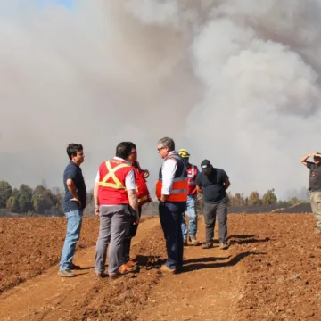 Debido al daño por los incendios forestales solicitan declarar Emergencia Agrícola en La Araucanía
