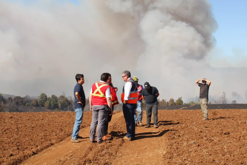 Debido al daño por los incendios forestales solicitan declarar Emergencia Agrícola en La Araucanía