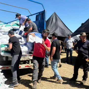 WhatsApp Image 2026-01-29 at 17.56.54 Municipio de Cholchol entrega más de 5 toneladas de alimento animal a familias afectadas por incendios forestales