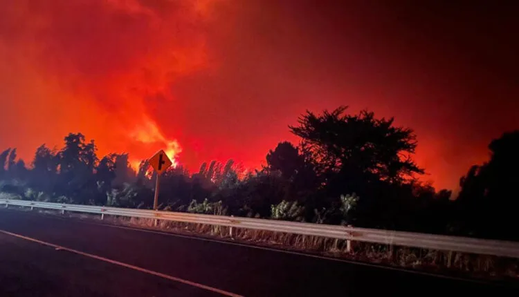 imagen_2026-01-25_081540307 Más de 43 mil hectáreas consumidas por incendios forestales en el sur de Chile, según balance de Senapred