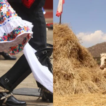 Folclore, tradición y arte digital: los imperdibles del verano en La Araucanía
