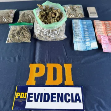 WhatsApp Image 2026-05-11 at 18.03.02 En Villarrica: PDI Incauta 634 Gramos De Cannabis Sativa A Granel Lista Para Su Comercialización
