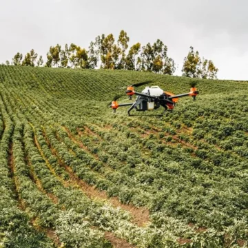 imagen_2026-06-09_195153269 Día Internacional de la Papa: IA, drones y riego solar revolucionan el cultivo más consumido de Chile
