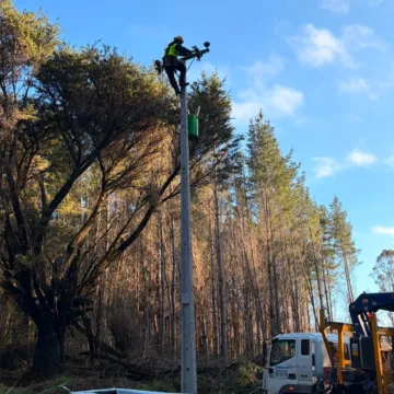 Frontel supera el 92% de reposición del servicio eléctrico tras temporal en La Araucanía