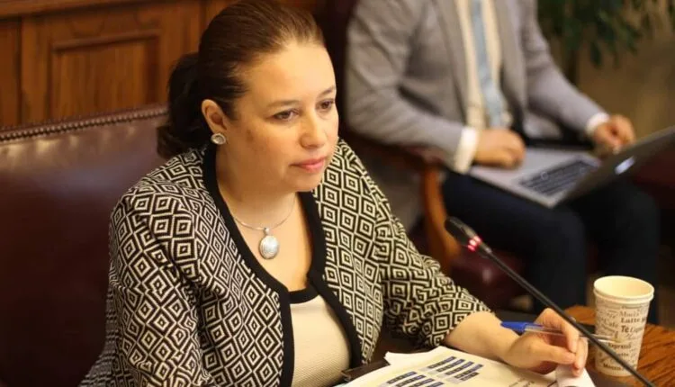 imagen_2026-07-09_193300944 Senadora Ximena Órdenes desconoce acuerdo del PPD con el Gobierno por megaproyecto: “No me representa”
