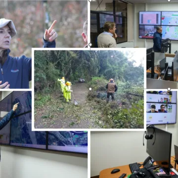 Agricultura mantiene monitoreo en zonas rurales por sistema frontal: La Araucanía acumula 153 mm de lluvia