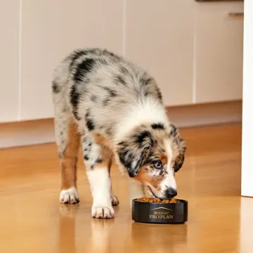FortifloraJPG Llega a Chile FortiFlora, el probiótico veterinario de Purina Pro Plan