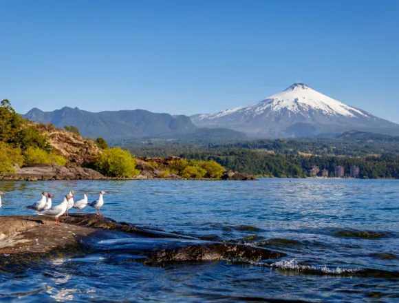 Plan de Descontaminación del Lago Villarrica: alcaldes advierten desafíos de financiamiento y coordinación