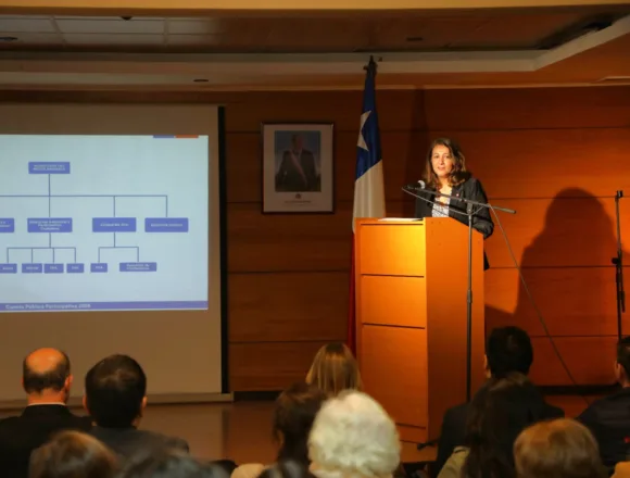 Medio Ambiente destaca avances en descontaminación en La Araucanía