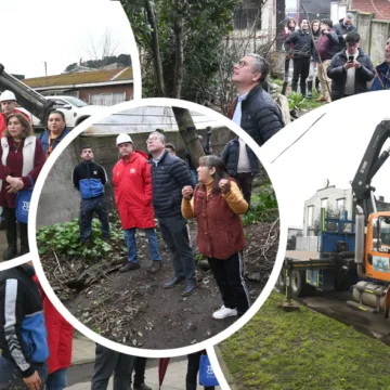 imagen_2026-08-04_225046420 Alianza público-privada permitirá retirar árboles que amenazan a viviendas en sector Santa Rosa de Temuco