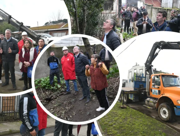 Alianza público-privada permitirá retirar árboles que amenazan a viviendas en sector Santa Rosa de Temuco