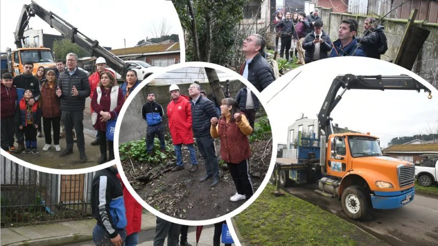 imagen_2026-08-04_225046420 Alianza público-privada permitirá retirar árboles que amenazan a viviendas en sector Santa Rosa de Temuco