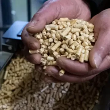 imagen_2026-08-11_220329082 Tras largas esperas y alzas de precios: reconocen estrechez de pellet en La Araucanía