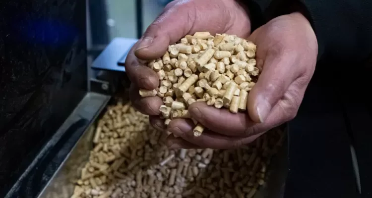 imagen_2026-08-11_220329082 Tras largas esperas y alzas de precios: reconocen estrechez de pellet en La Araucanía