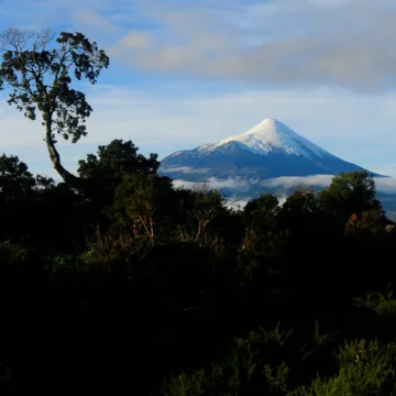 imagen_2026-08-17_225646376 Foto: Parque Nacional Vicente Pérez Rosales / Agencia Uno