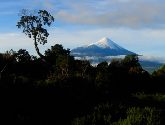 imagen_2026-08-17_225646376 Foto: Parque Nacional Vicente Pérez Rosales / Agencia Uno