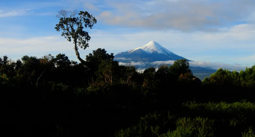 Foto: Parque Nacional Vicente Pérez Rosales / Agencia Uno