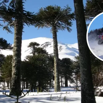 Denuncian ingreso ilegal de motos de nieve a Reserva Nacional Malalcahuello: ofrecían tours turísticos