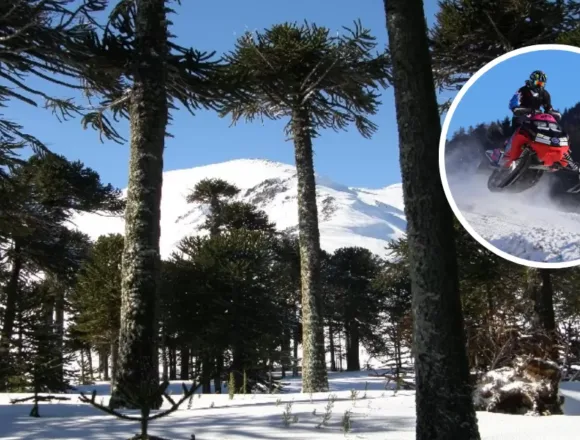 Denuncian ingreso ilegal de motos de nieve a Reserva Nacional Malalcahuello: ofrecían tours turísticos