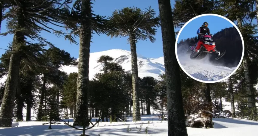 imagen_2026-08-21_162152450 Denuncian ingreso ilegal de motos de nieve a Reserva Nacional Malalcahuello: ofrecían tours turísticos