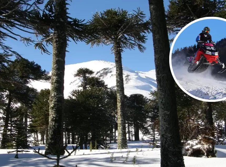 Denuncian ingreso ilegal de motos de nieve a Reserva Nacional Malalcahuello: ofrecían tours turísticos