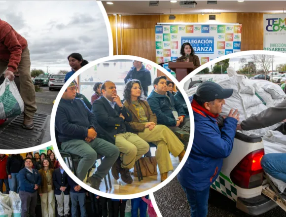 Más de 300 agricultores afectados por emergencia agrícola son identificados en Temuco