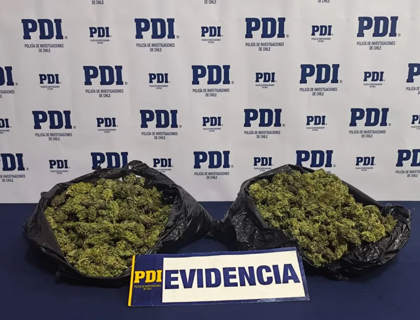 WhatsApp Image 2026-09-20 at 11.32.29 PDI incauta más de un kilo de cannabis en Traiguén: sujeto habría regresado para intentar recuperar la droga