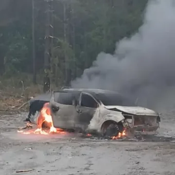 imagen_2026-09-26_115911778 Ataque incendiario deja una camioneta destruida en un sector rural de Collipulli