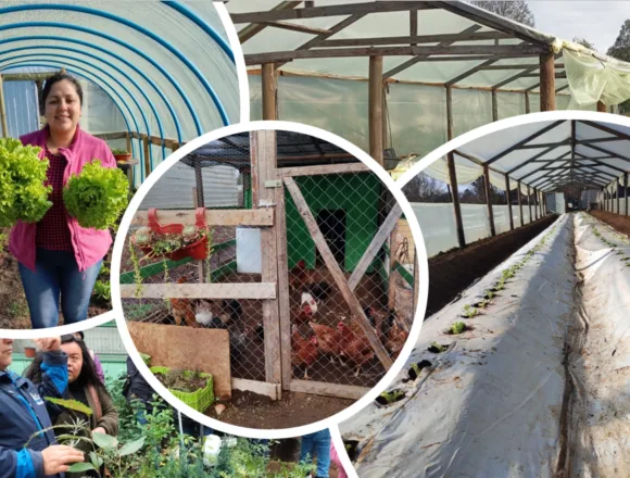 FOSIS fortalece la seguridad alimentaria de familias de La Araucanía con programas de apoyo