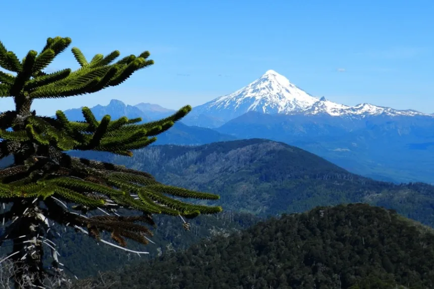 UFRO participará en seminario que conmemora 20 años de trabajo por la biodiversidad en La Araucanía
