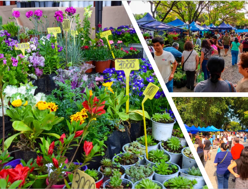 18ª Expo Flores: La tradicional y pionera fiesta verde de Temuco vuelve con más de 95 stands y entrada liberada